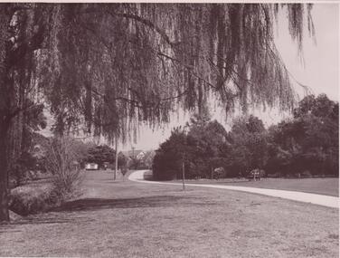 Document - Springthorpe Gardens
