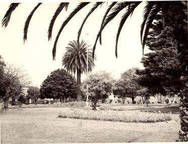 Photograph - Greenmeadows Gardens, St. Kilda East