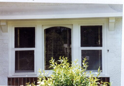 Set of 3 white-framed windows amidst white wall, with a line of brown bricks underneath and a white ledge above.  In front of the window is the top of a bush. 