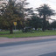 A park with an expanse of lawn, established trees and two canons with a road with tram tracks in the foreground. 