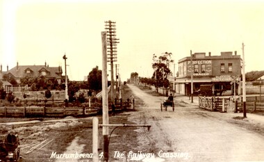 Article - MURRUMBEENA ROAD RAILWAY CROSSING