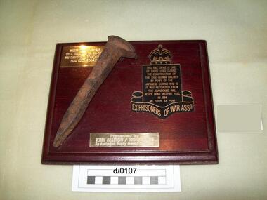 Rail Spike