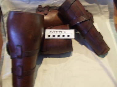 Light Horse Leggings