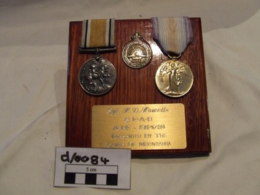 Badge / Medal Board