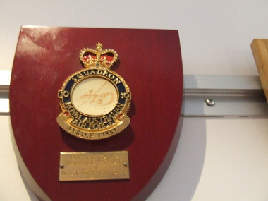 Plaque 10 Squadron RAAF