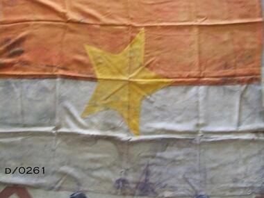 Vietcong Flag Type 5