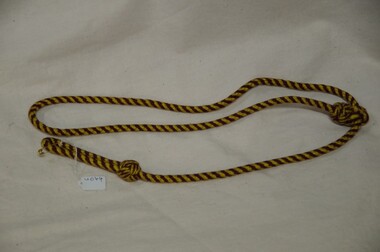 Lanyard