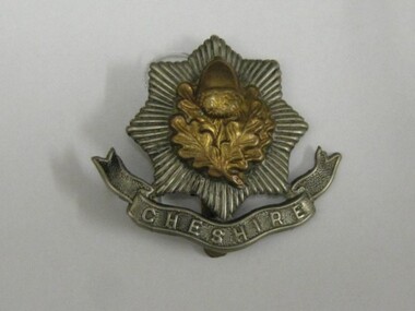 Hat Badge
