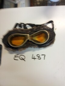 Goggles