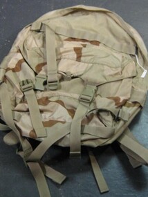 Back Pack