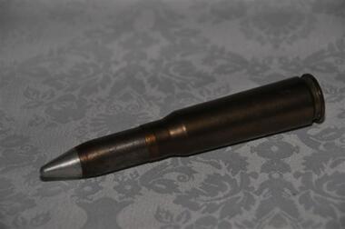 Bullet & Casing