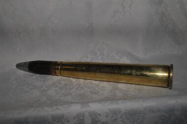 Shell Casing & Projectile