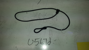 Lanyard