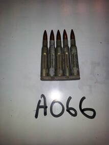 Bullets and Clip