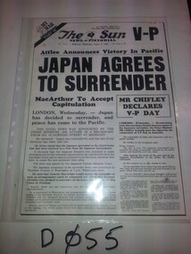 Newspaper