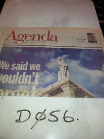 Newspaper