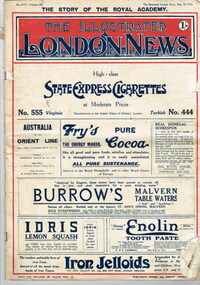 Newspaper