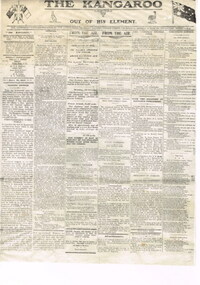 Newspapers
