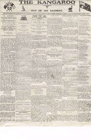 Newspapers