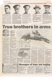 Newspaper