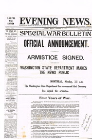 Newspaper