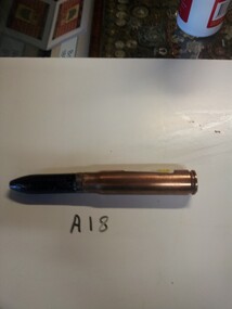 Shell Casing & Projectile