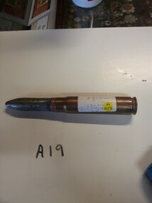 Shell Casing & Projectile