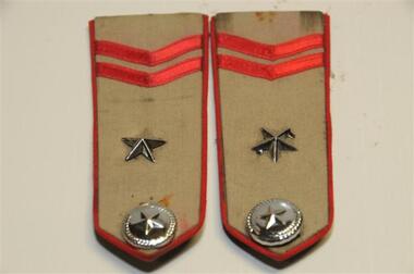 Epaulettes