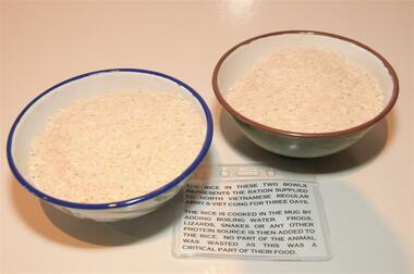 Rice Bowls