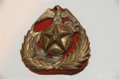 Hat Badge
