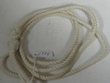 Lanyard