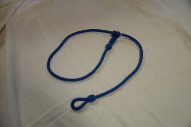 Lanyard
