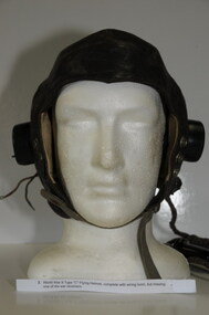 Helmet