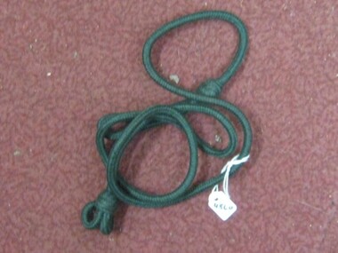 Lanyard