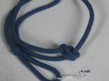 Lanyard