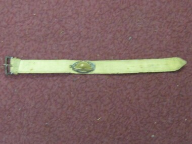 Wristband