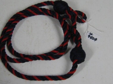 Lanyard