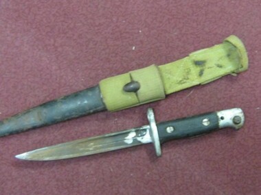 Bayonet / Knife