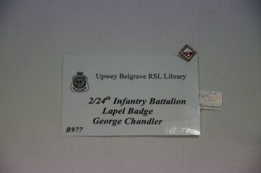 Lapel Pin