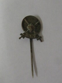 Lapel Pin