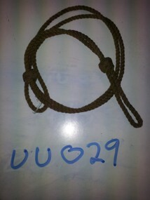 Lanyard