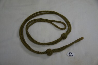 Lanyard