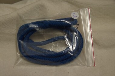 Lanyard