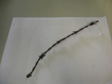 Barbed Wire