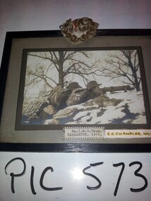 Picture & Badge