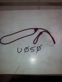 Lanyard