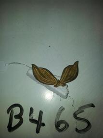 Hat Badge Feathers