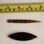 2 Tortoise shell toggle spindles