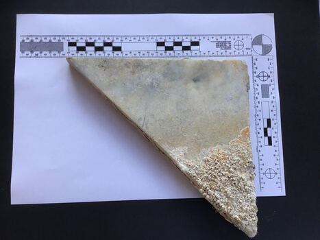 Marble triangular floor tile made of white marble with some marine encrustation