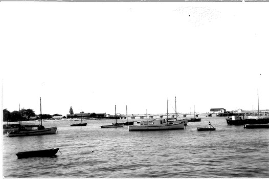 A number of small to medium sized boats seen at anchor including the Ports & Harbour launch "Flinders'